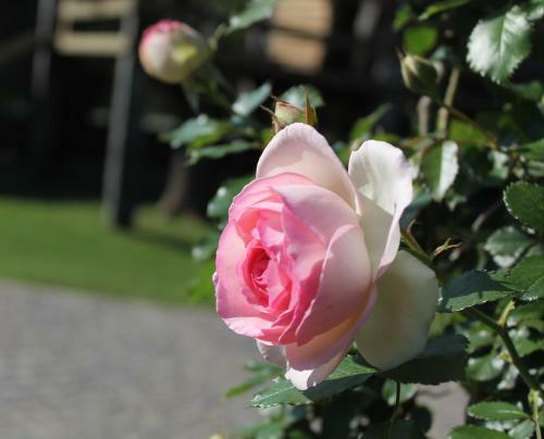 Agroturismo Complejo Arboreto