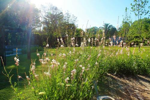 Agroturismo Complejo Arboreto