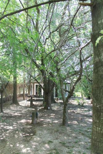 Agroturismo Complejo Arboreto
