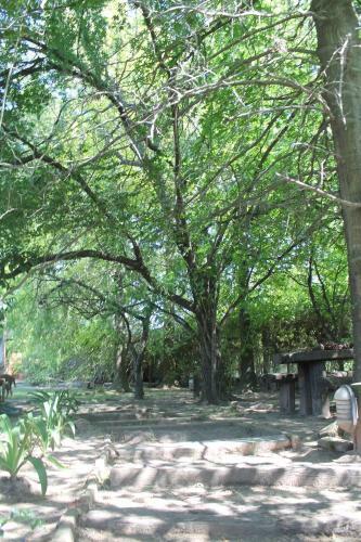 Agroturismo Complejo Arboreto