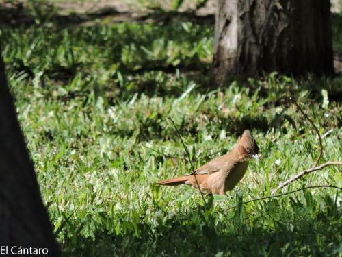 Apartamento El C�ntaro