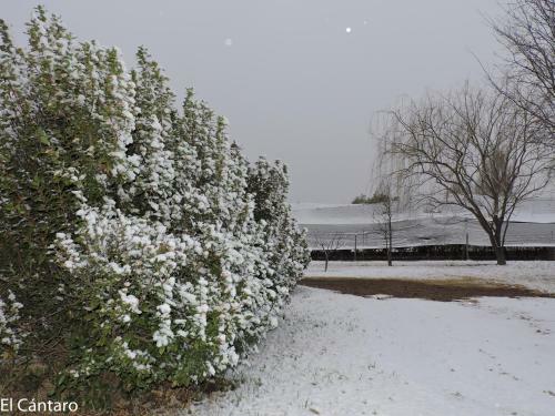 Apartamento El C�ntaro