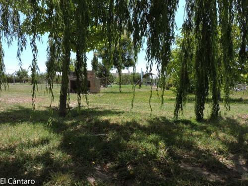 Apartamento El C�ntaro