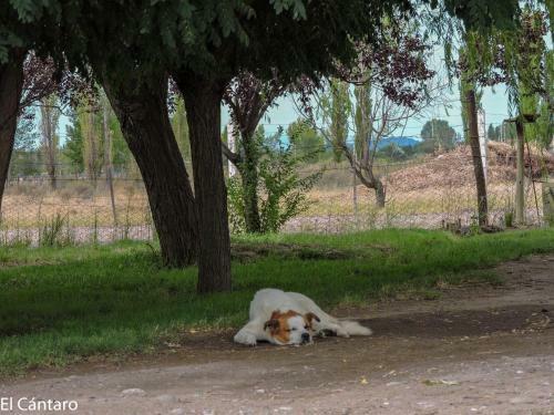 Apartamento El C�ntaro