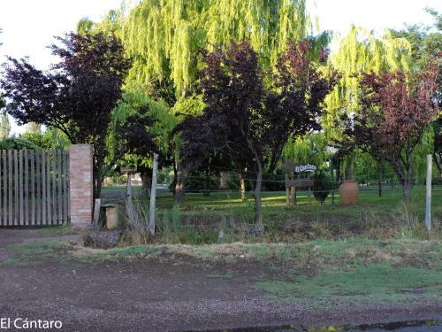 Apartamento El C�ntaro