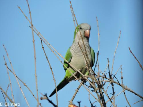 Apartamento El C�ntaro