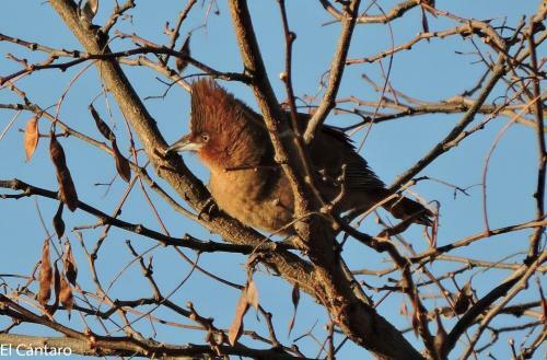 Apartamento El C�ntaro