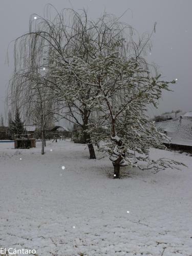 Apartamento El C�ntaro