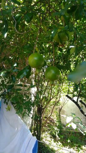 La Social Hostel Y Libros