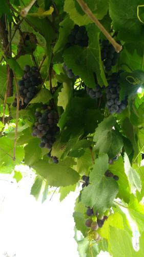 La Social Hostel Y Libros