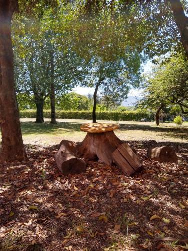Caba�as Rayuela Y Otros Cuentos