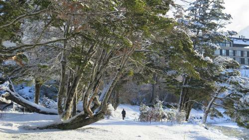 Apartamento Departamento Terrazas Del Beagle