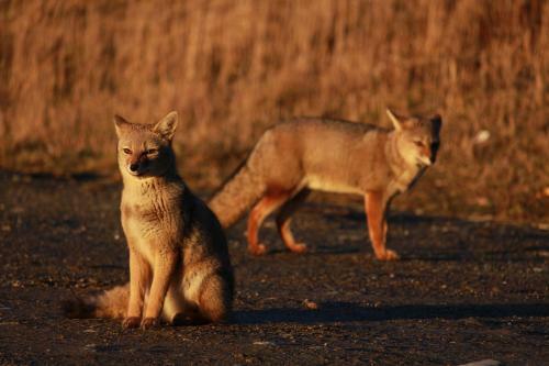 Apartamento C�lido Destino