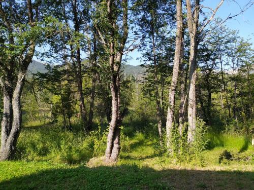 Bog N�rdica 3