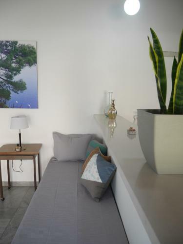 Apartamento Monoambiente Con Cochera