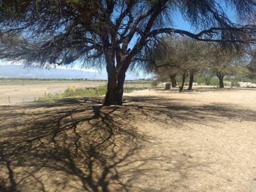 Camping Agreste El Algarrobo de Quilmes