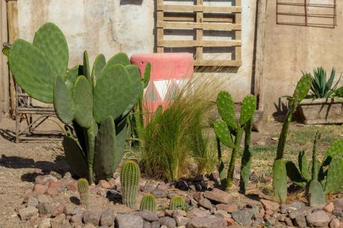 Casa Vista Flores Valle de Uco