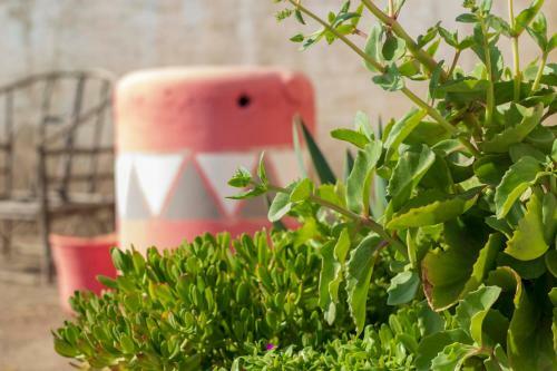 Casa Vista Flores Valle de Uco