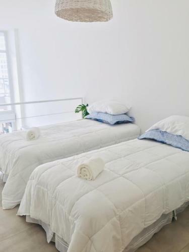 Apartamento Oasis En El Barrio - Loft Increible!