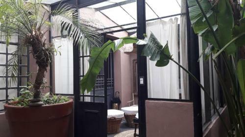 Suites & Tent Experience