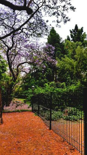 Apartamento Duplex En Palermo Hollywood