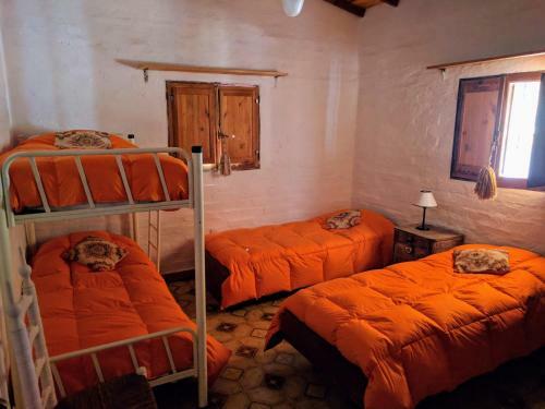 Posada Aire de Barreal Hostel Andino