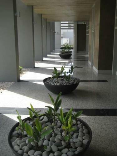 Arribo Buenos Aires Apartments San Telmo