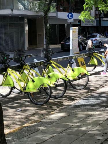 Small & Comfortable Apartment In Palermo