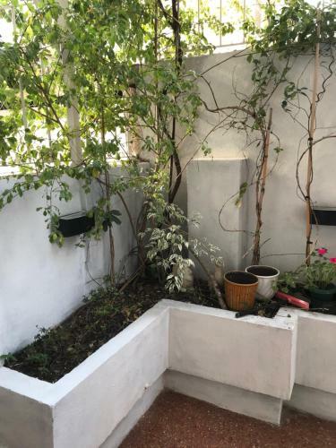 Apartamento Cabildo Y Juramento Con Parrilla