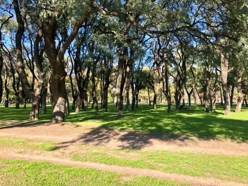 Bosques De Palermo Apartment
