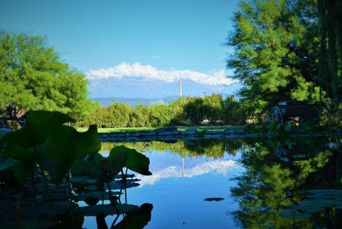 Lodge Estancia Del Olivo