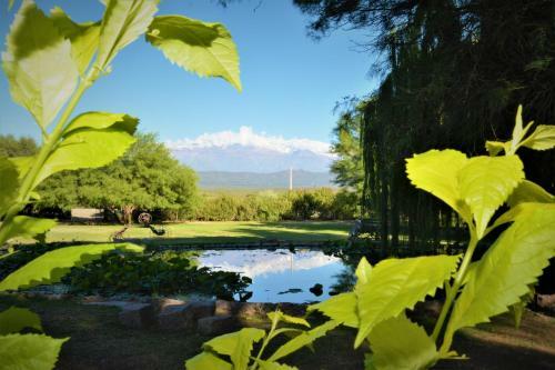 Lodge Estancia Del Olivo