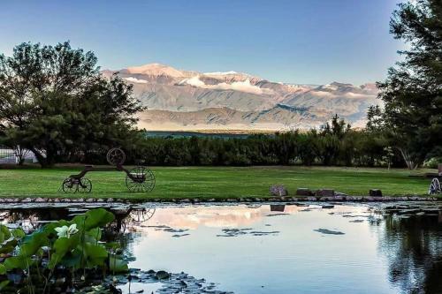 Lodge Estancia Del Olivo