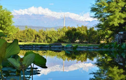 Lodge Estancia Del Olivo