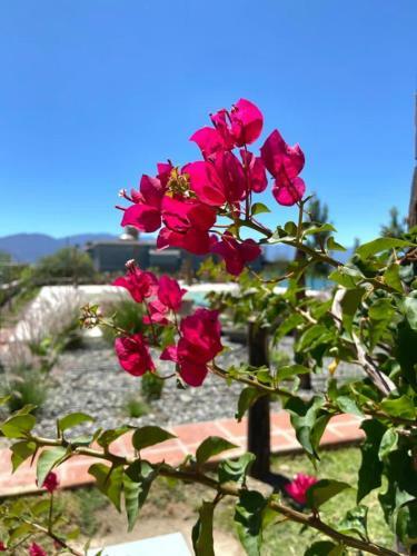 Apartamento Piedra Del Inca