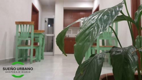 Apartamento Sue�o Urbano