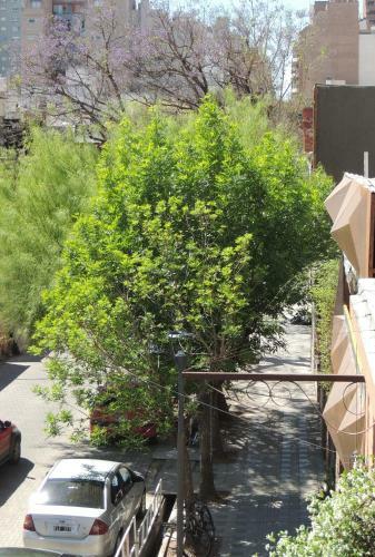 Apartamento Las Tipas