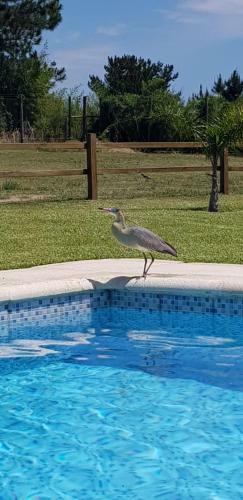 Finca Lonarda Hotel Ecosolar