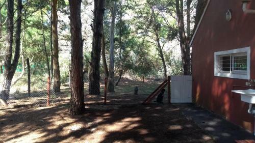 La Peregrina - Bosque Y Mar