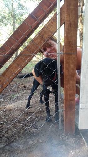 La Peregrina - Bosque Y Mar