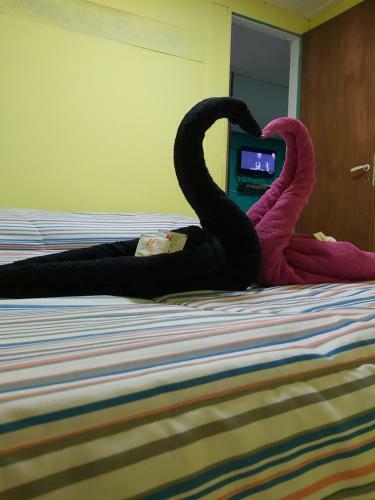 Apartamento Caba�a Vivir