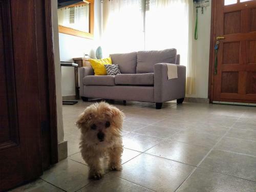 Habitaci�n Privada En Casa Particular