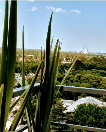 Apartamento Hola La Plata Deptos Temporarios