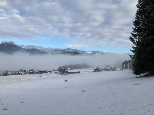 Apartment Fewo Irdning Pichlarn