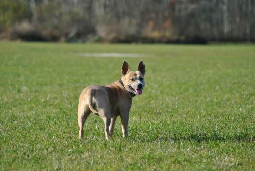 Apartment Fewo Irdning Pichlarn