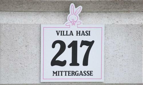 Villa Hasi