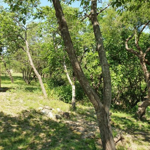 Casa Con Playa Y Bajada Al R�o Privada