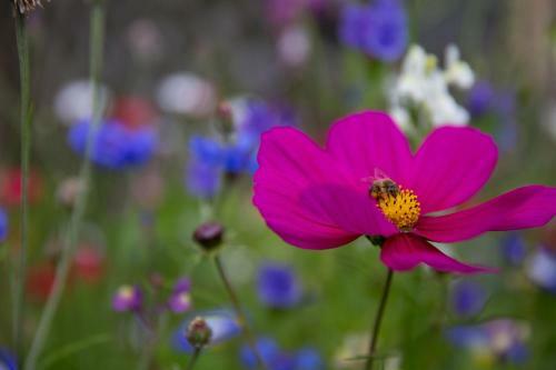 Apartamento Landhaus Unterk�fler