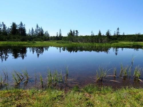 Cozy Chalet In Annaberg-lung�tz With Sauna