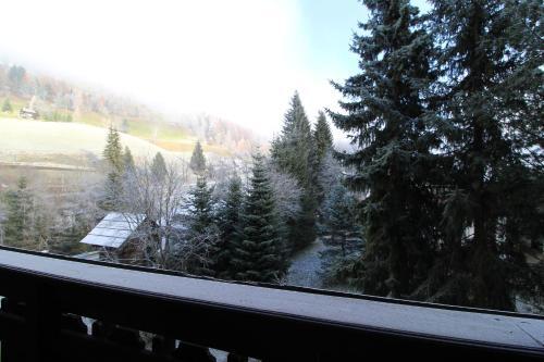 Apartment Enzian Top 14